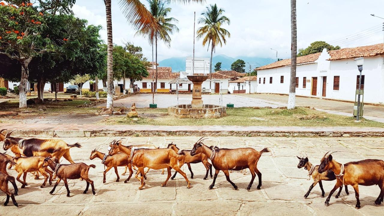 Cala Guane Barichara住宿加早餐旅馆 外观 照片